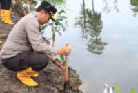 Kapolres Teluk Bintuni beserta Jajaran melangsungkan giat tanam seribu pohon Mangrove, pada lahan seluas lima hetare, di wilayah cagar alam, wilayah hukum Polres Teluk Bintuni, Senin, (30/06.2025). 