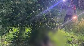 Penemuan mayat berjenis kelamin laki-laki oleh  warga SP3 Bumi Saniari Distrik Manimeri Kabupaten Teluk Bintuni, Sabtu(11/10/2025) 